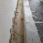 PHOTO-2022-03-11-12-16-59